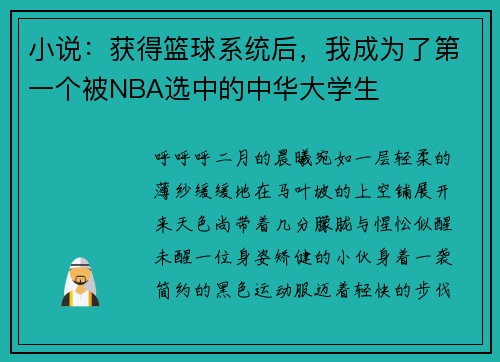 小说：获得篮球系统后，我成为了第一个被NBA选中的中华大学生